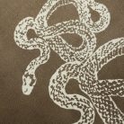 7c6948eede18e2258eb4e4838689cc3a.jpg